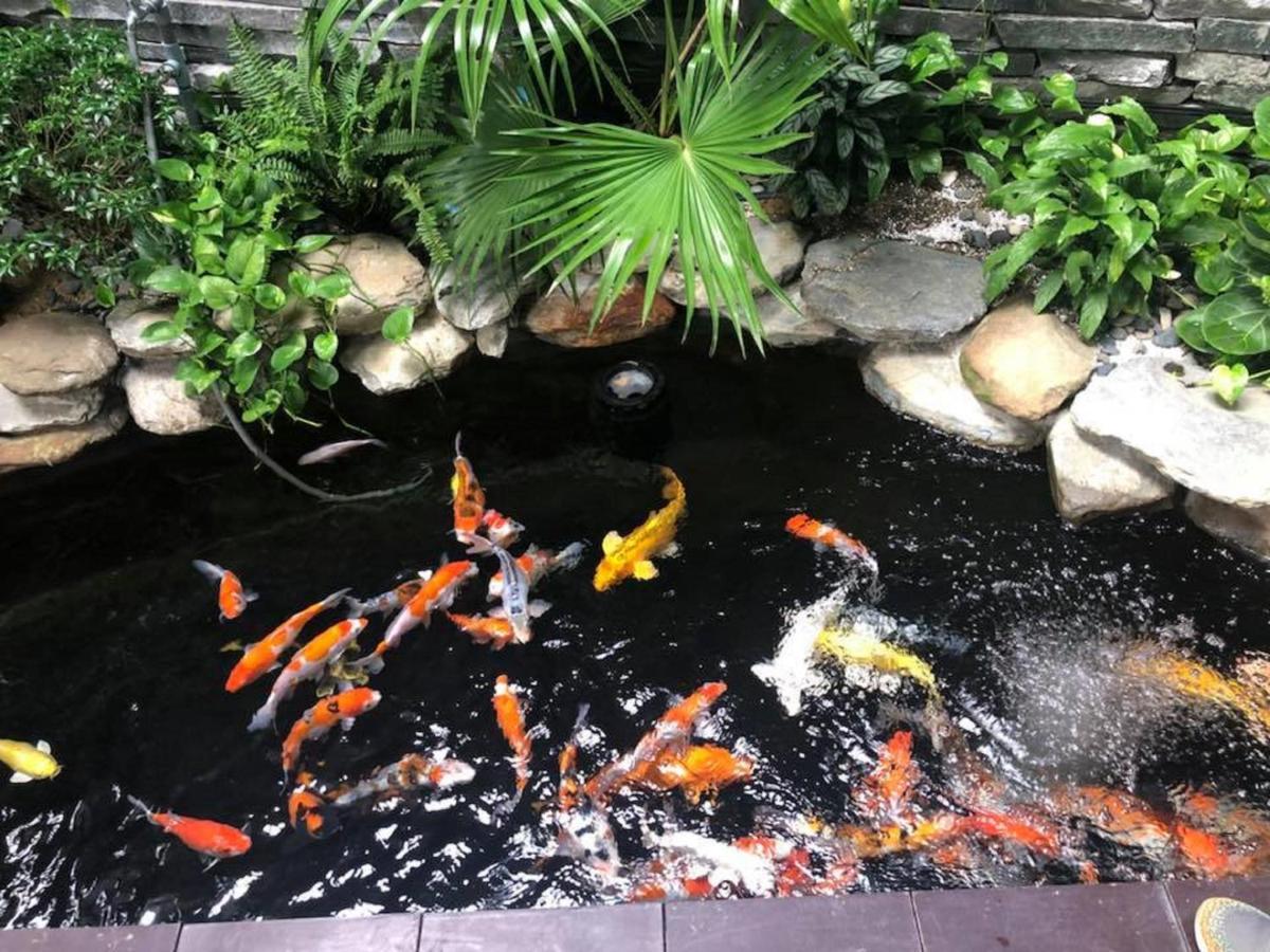 Aparthotel Cani House Da Nang